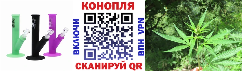 Конопля ГИДРОПОН  Купить  Люберцы 